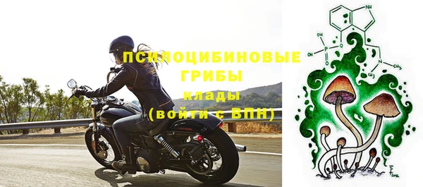 хмурый Белая Холуница