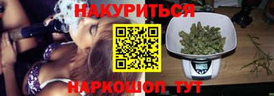 spice Гай