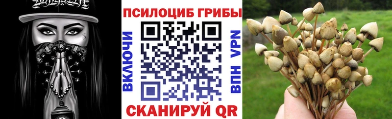 Галлюциногенные грибы ЛСД Зеленокумск
