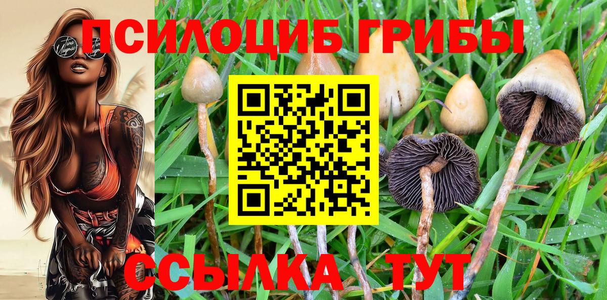Псилоцибиновые грибы GOLDEN TEACHER  дарнет шоп  Псилоцибиновые грибы MAGIC MUSHROOMS  Зеленокумск  Вход с VPN 
