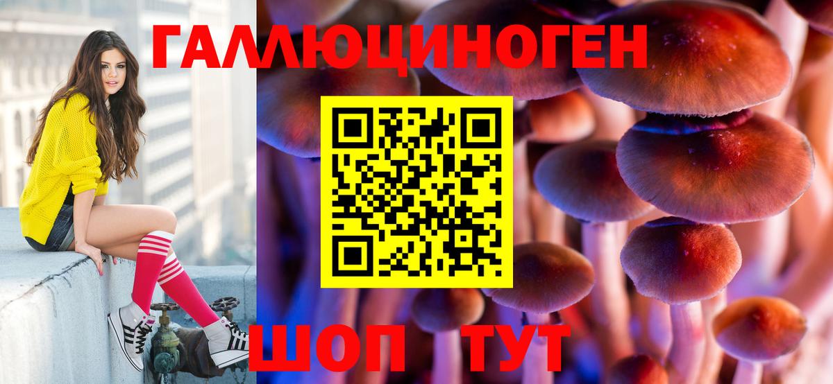 Галлюциногенные грибы прущие грибы Зеленокумск